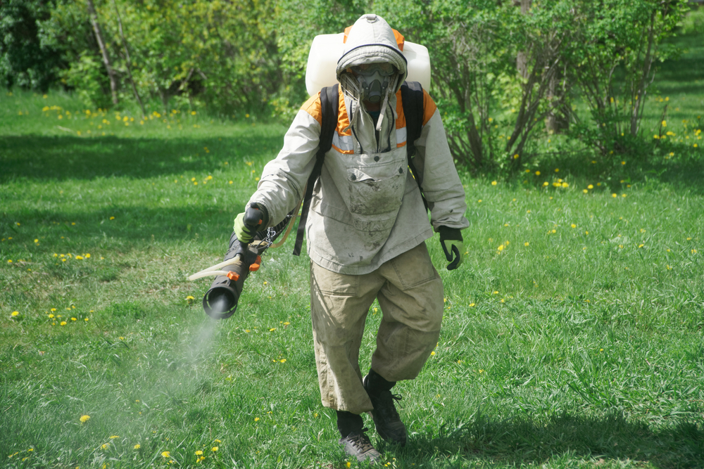 Why You Should Get Mosquito Control