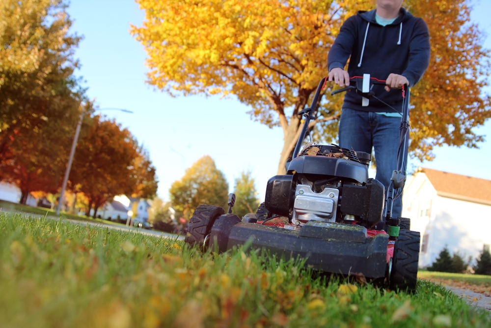 Cutting Your Lawn For the Fall